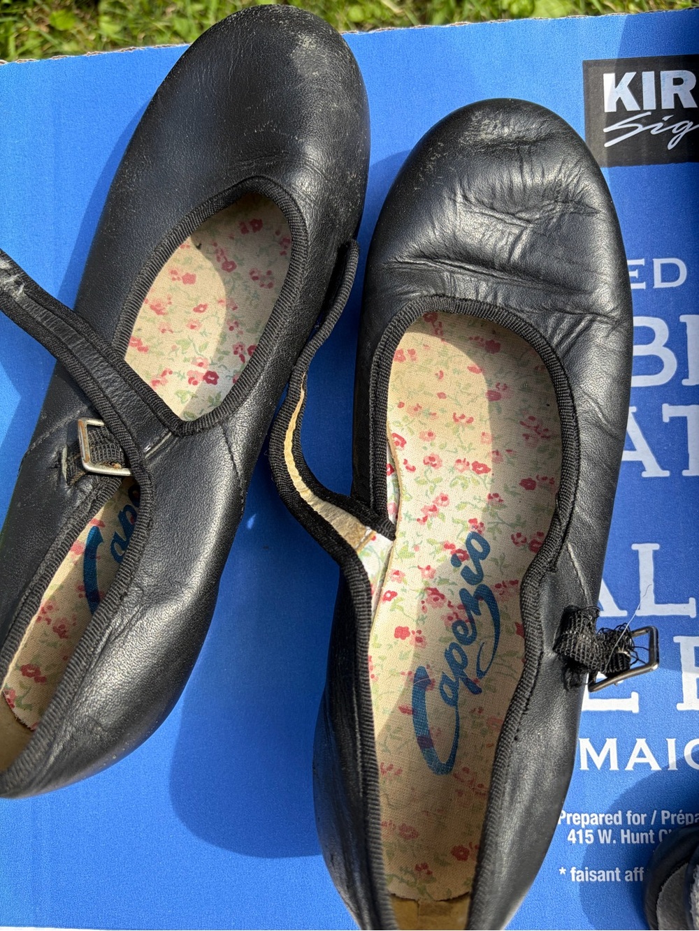 Capezio Women’s Black Leather Mary Jane Ballet Flats